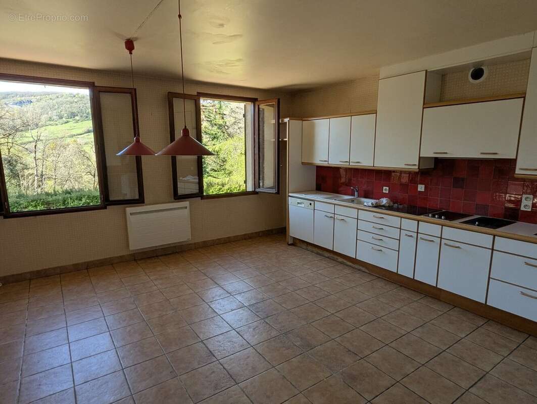 Mas d'azil, 225 m² habitable sur 2 ha - photo 6