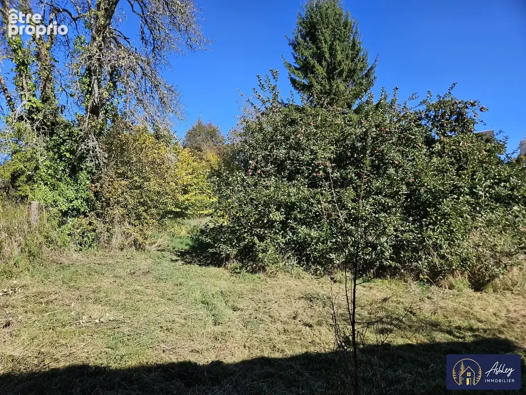 Maison 65 m² à Neuvic  - photo 6