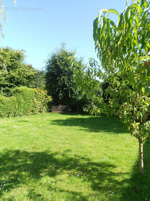 Maison à VEULES-LES-ROSES