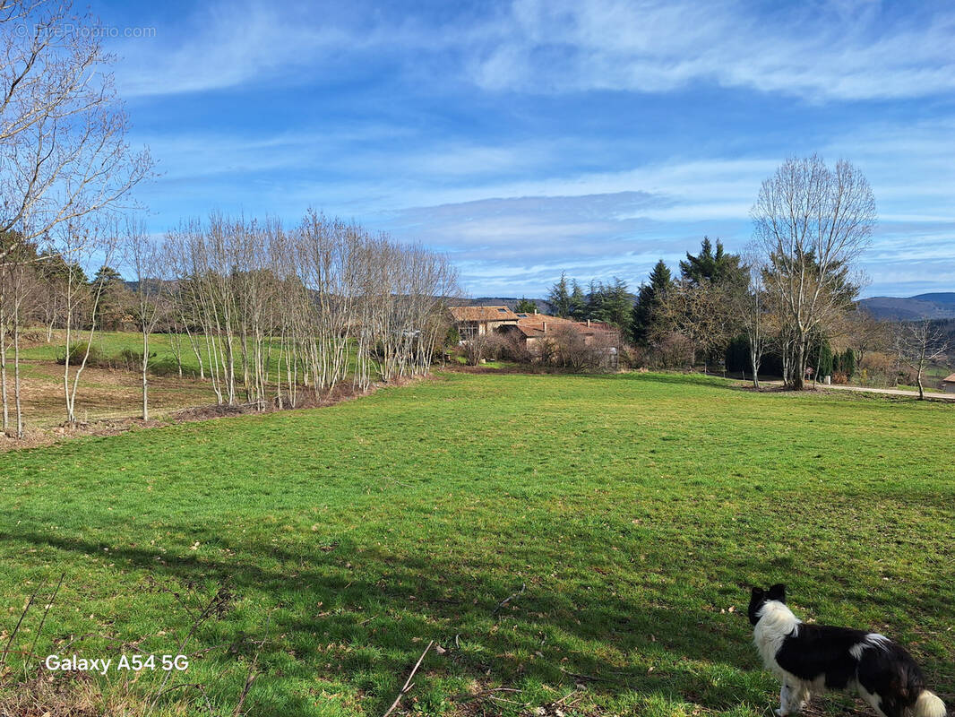 Terrain à SAINT-APOLLINAIRE-DE-RIAS