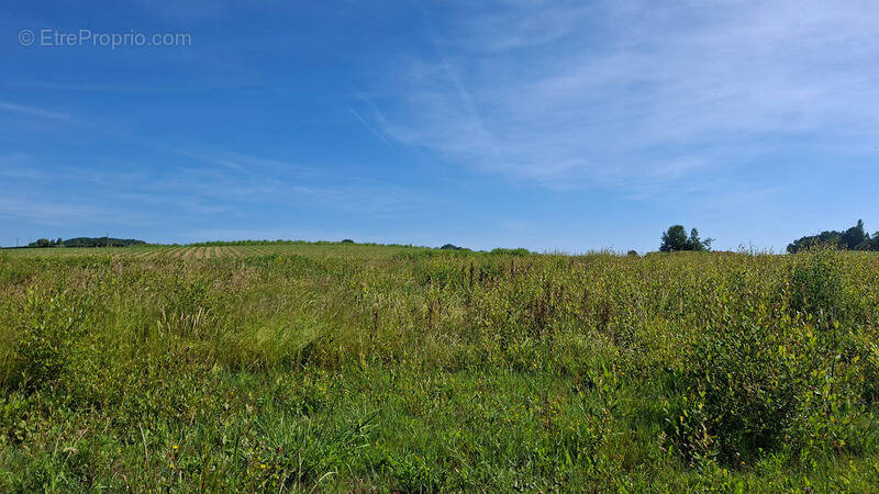 Terrain à BIDACHE