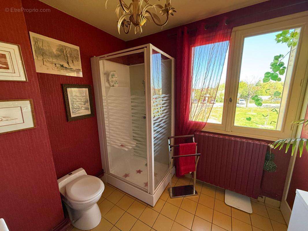 Maison Yzeure 3 chambres terrasse jardin - photo 6
