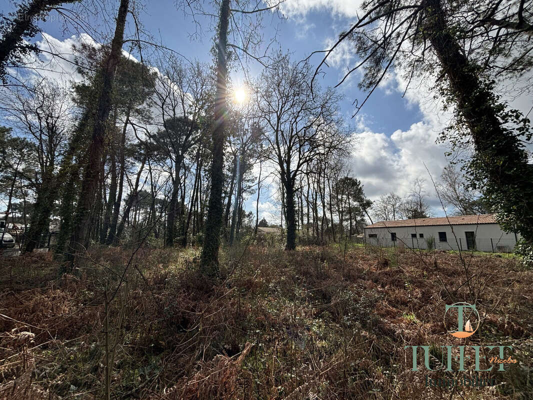 Terrain à LA TREMBLADE