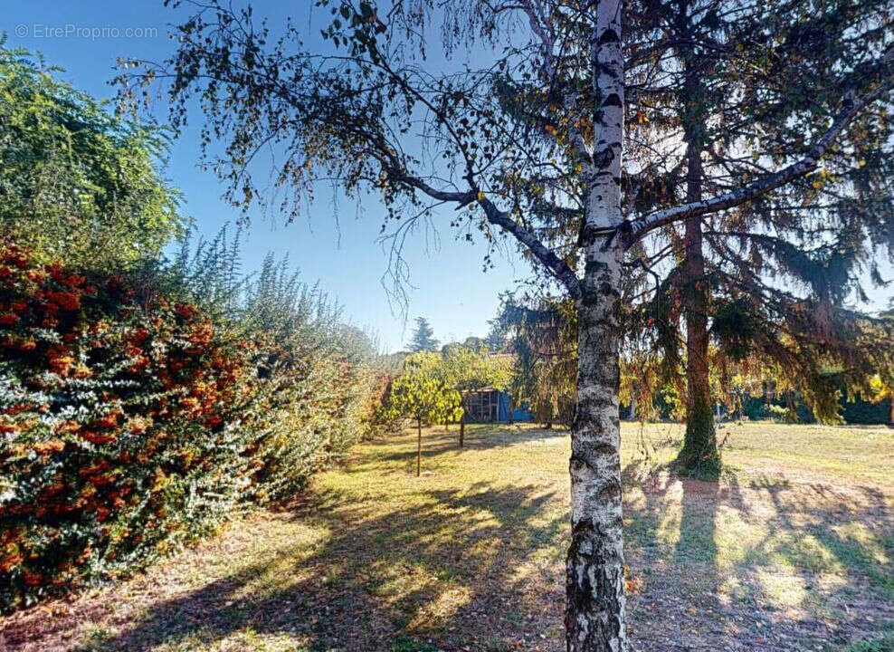 Terrain à SAINT-JUST-SAINT-RAMBERT
