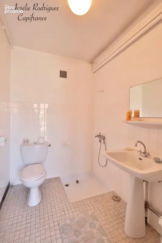 Maison à vendre 6 pièces MANZIAT (01) - photo 17