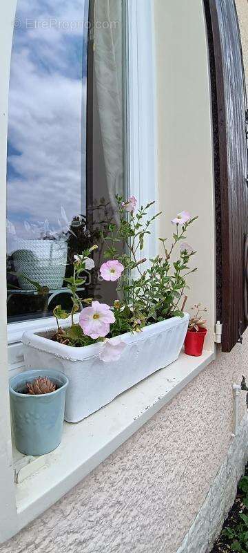 Trés belle maison spacieuse et familiale au calme - photo 17