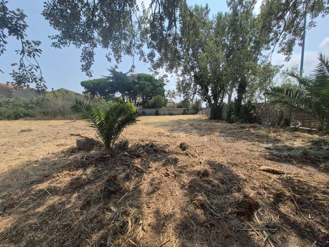 Terrain à vendre 2064 m²  - SAINTE MARIE LA MER - A 5 min des plages - photo 5