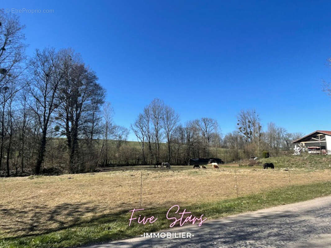 Terrain à VILLE-SUR-COUSANCES