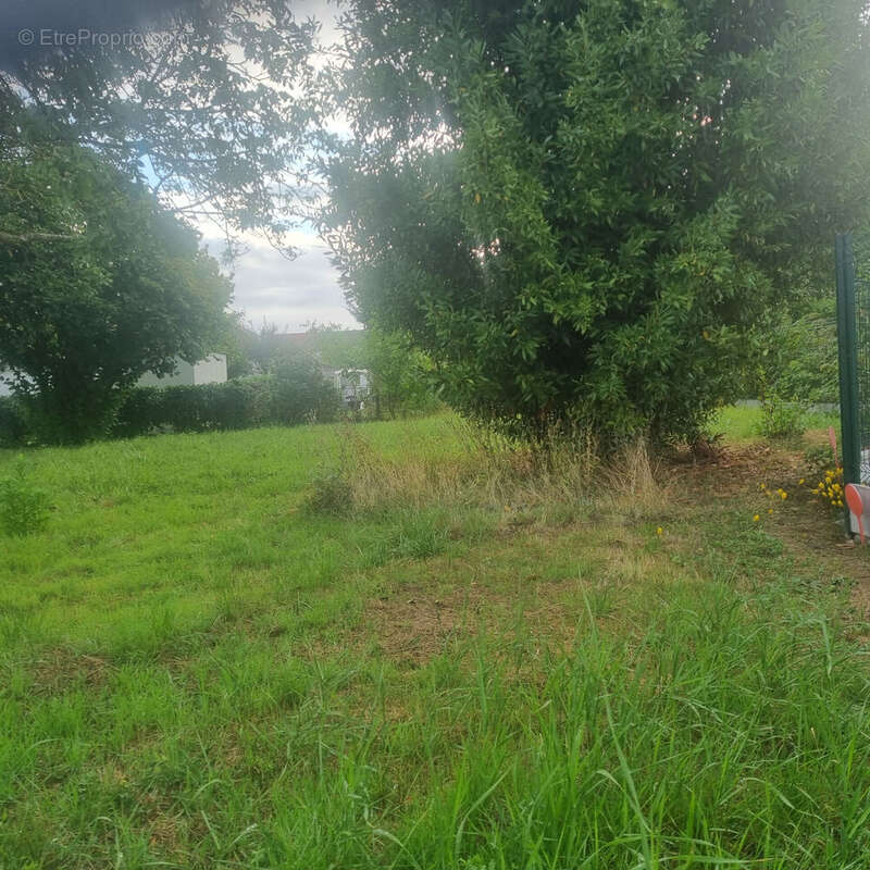Photo 2 - Terrain à TOURS