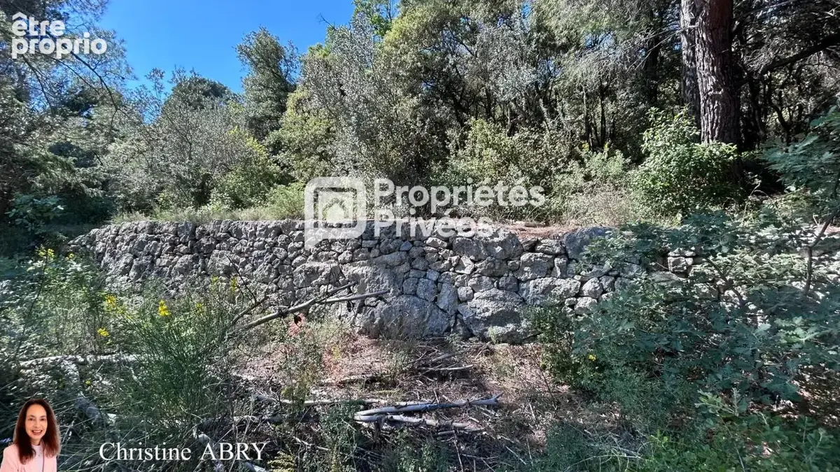 Bargemon Terrain de 2020 m2 - photo 3