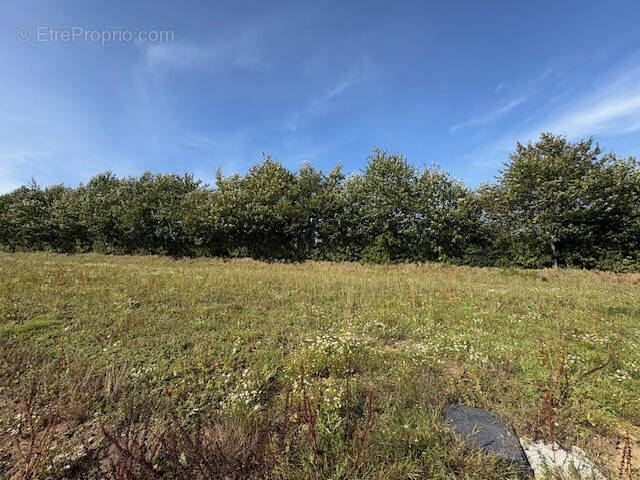 Terrain à VIRE