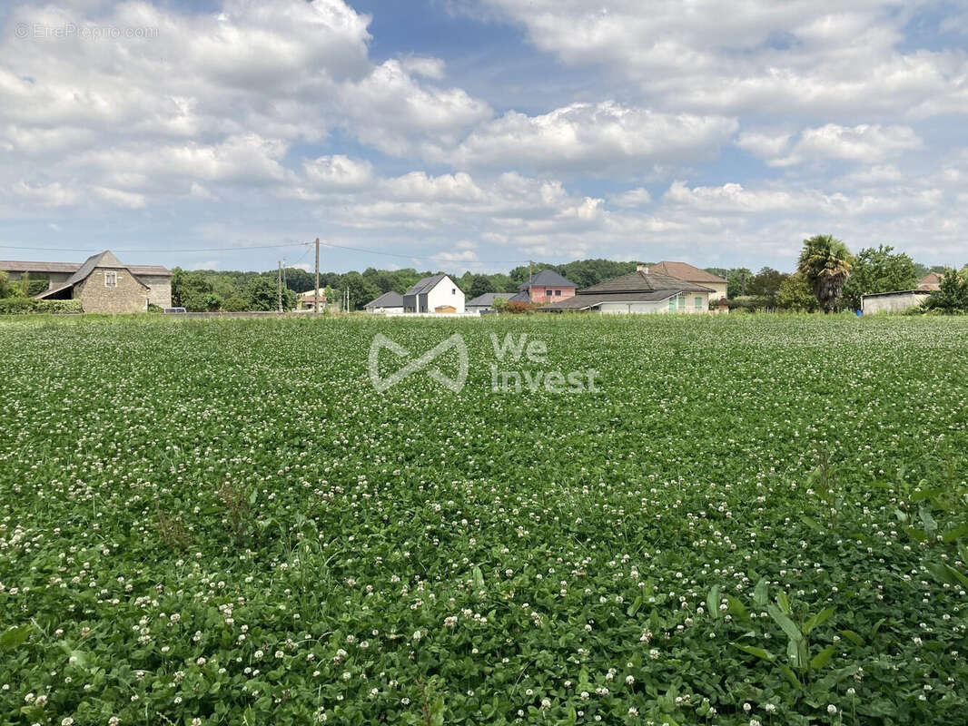 Terrain à POEY-DE-LESCAR