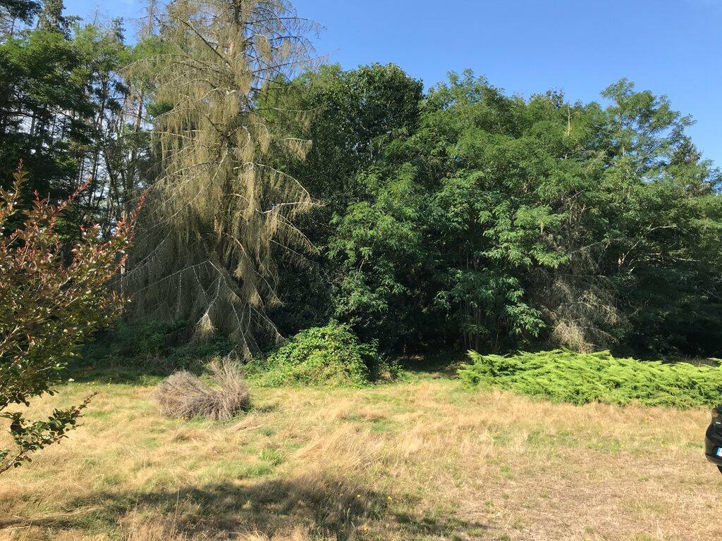 Terrain à LA FERTE-SAINT-CYR