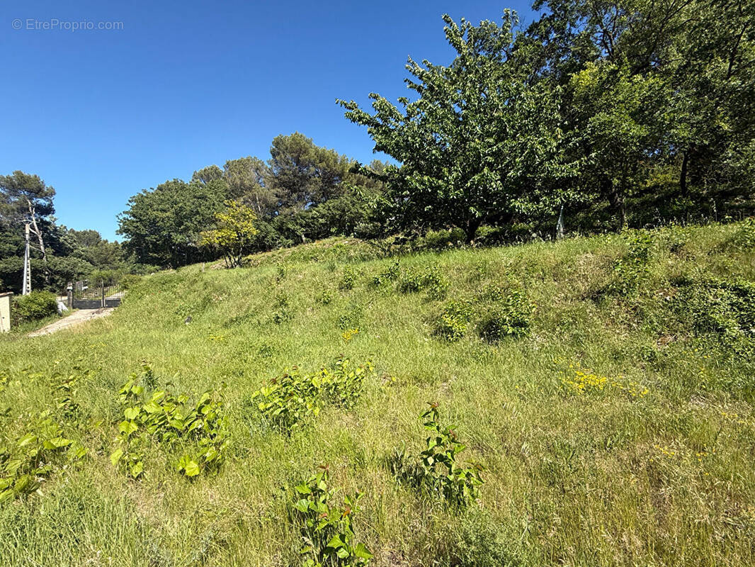 Terrain à LA ROQUE-D'ANTHERON
