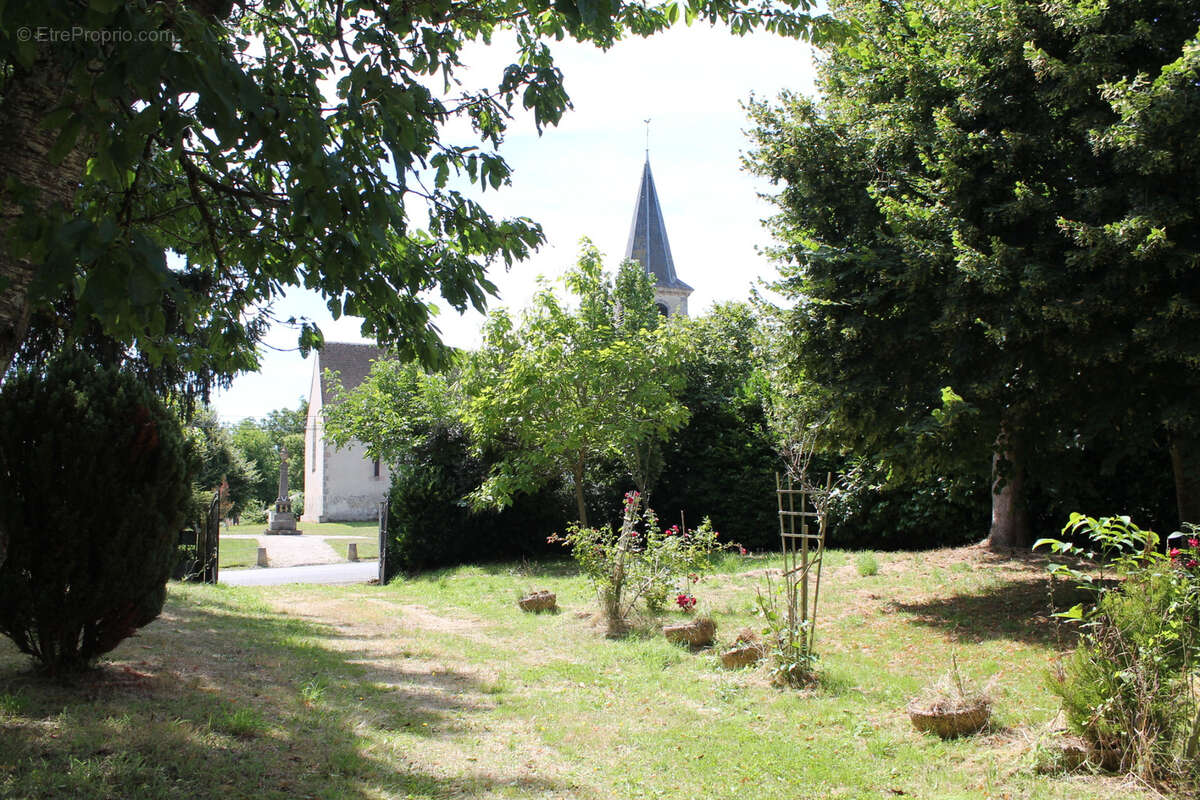 St Palais   Maison spacieuse  sur 1612 m2 dans le village. - photo 20