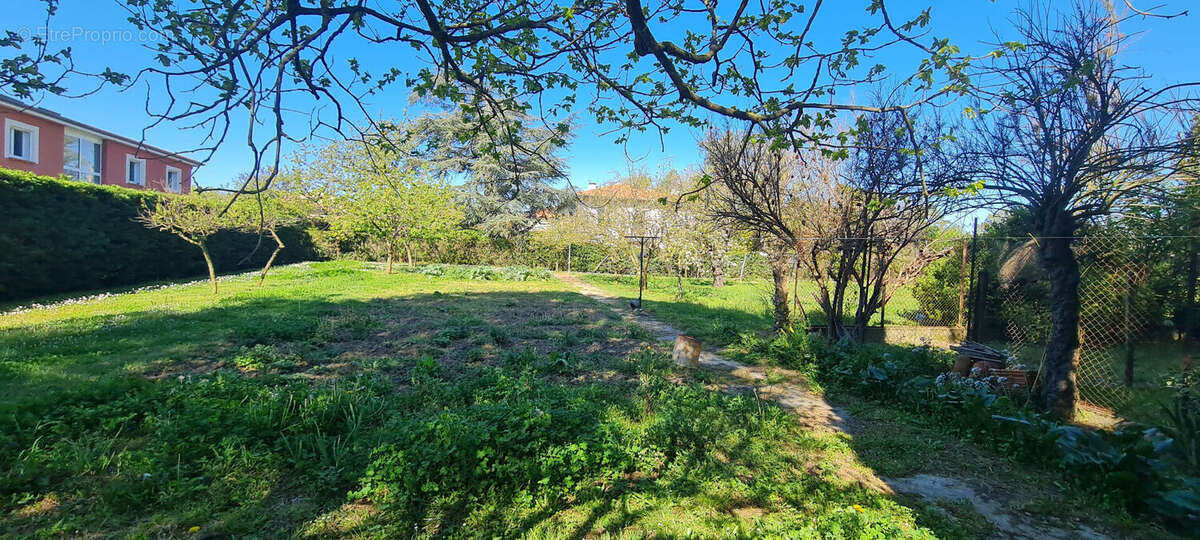 Terrain  de  1495m² cloture et arbore - photo 9