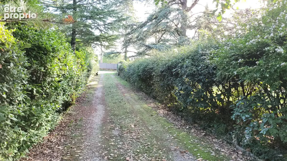 Propriété de caractère avec grand jardin privatif, à seulement 5 minutes  de Villefranche de Rouergue. - photo 4