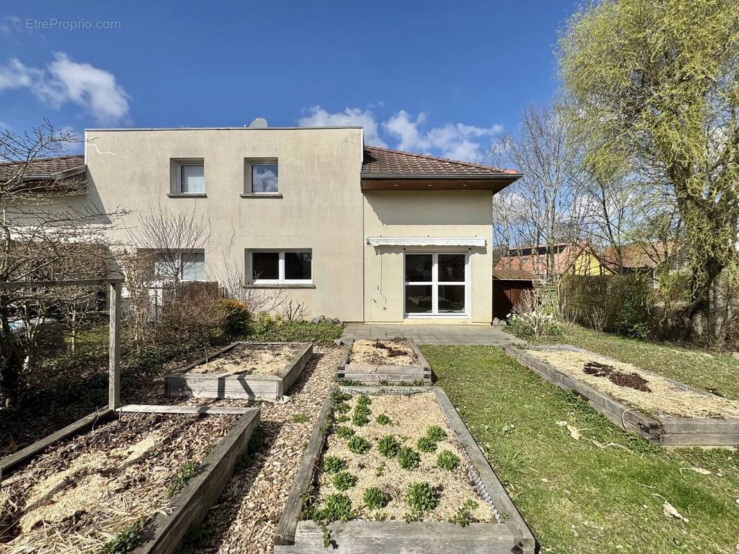 Appartement à ZAESSINGUE