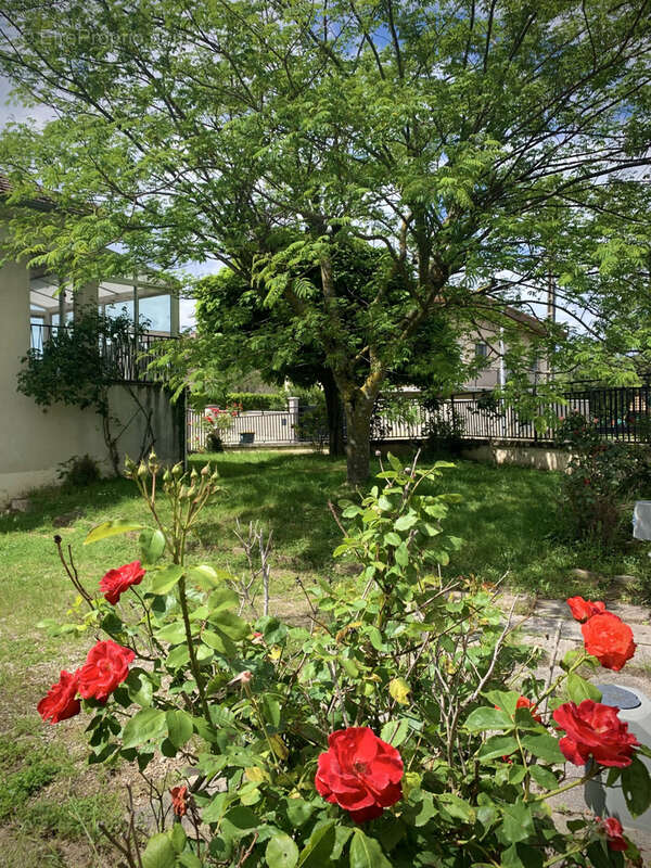 Maison à SAINT-PRIEST