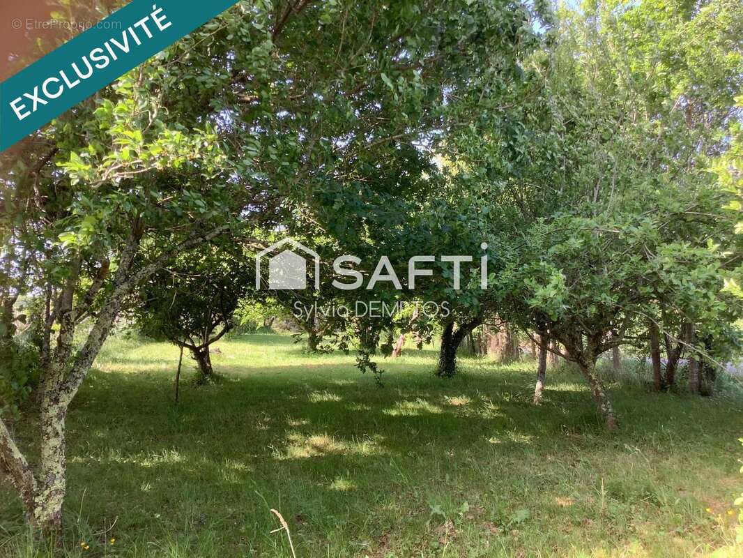 Photo 3 - Maison à NAVARRENX