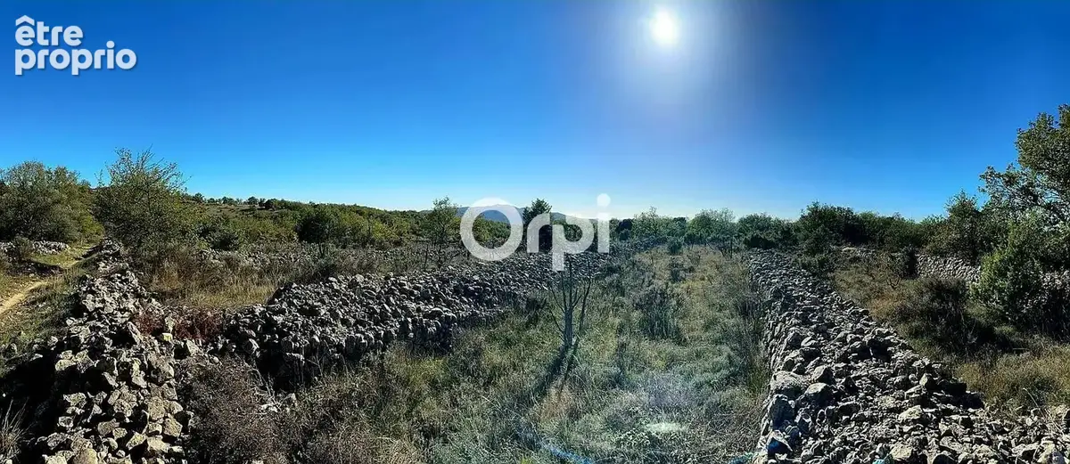 Terrain non constructible - photo 4
