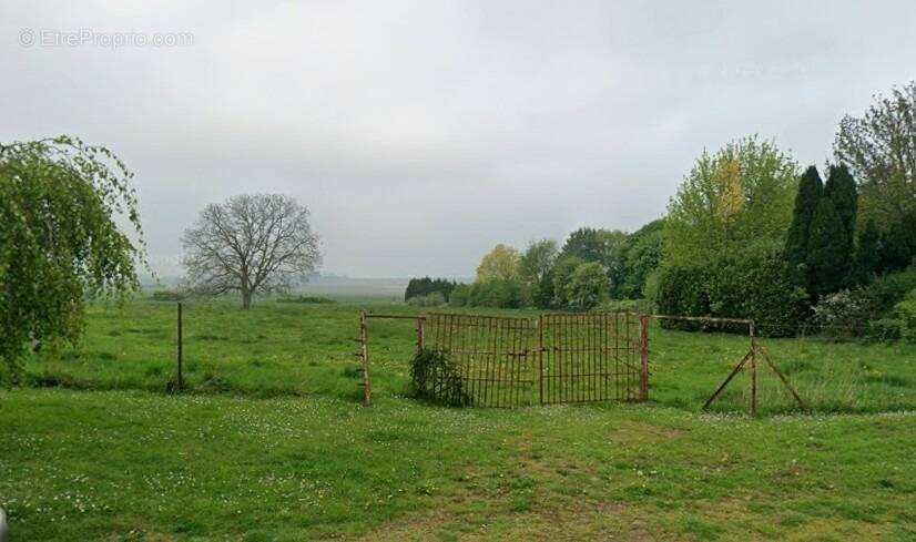 Terrain à AVESNES-LE-COMTE