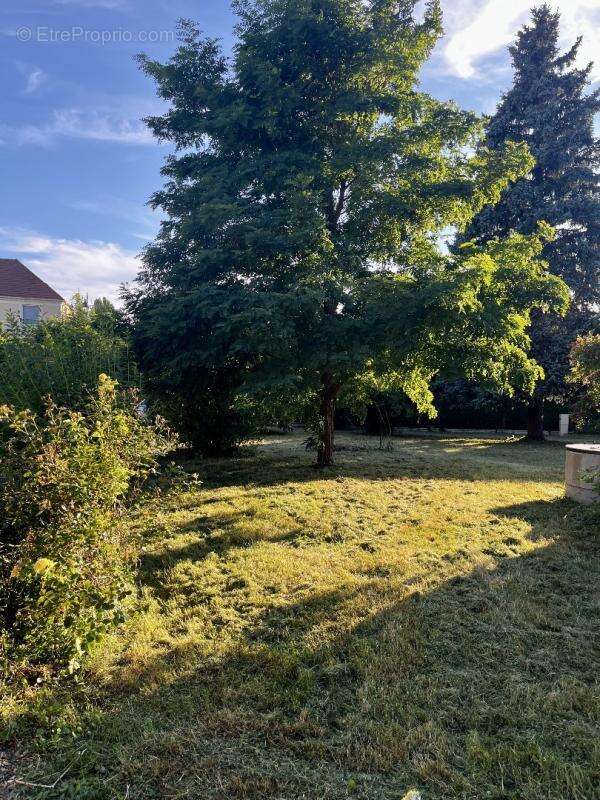 Maison 315 m² à Abbecourt  - photo 17