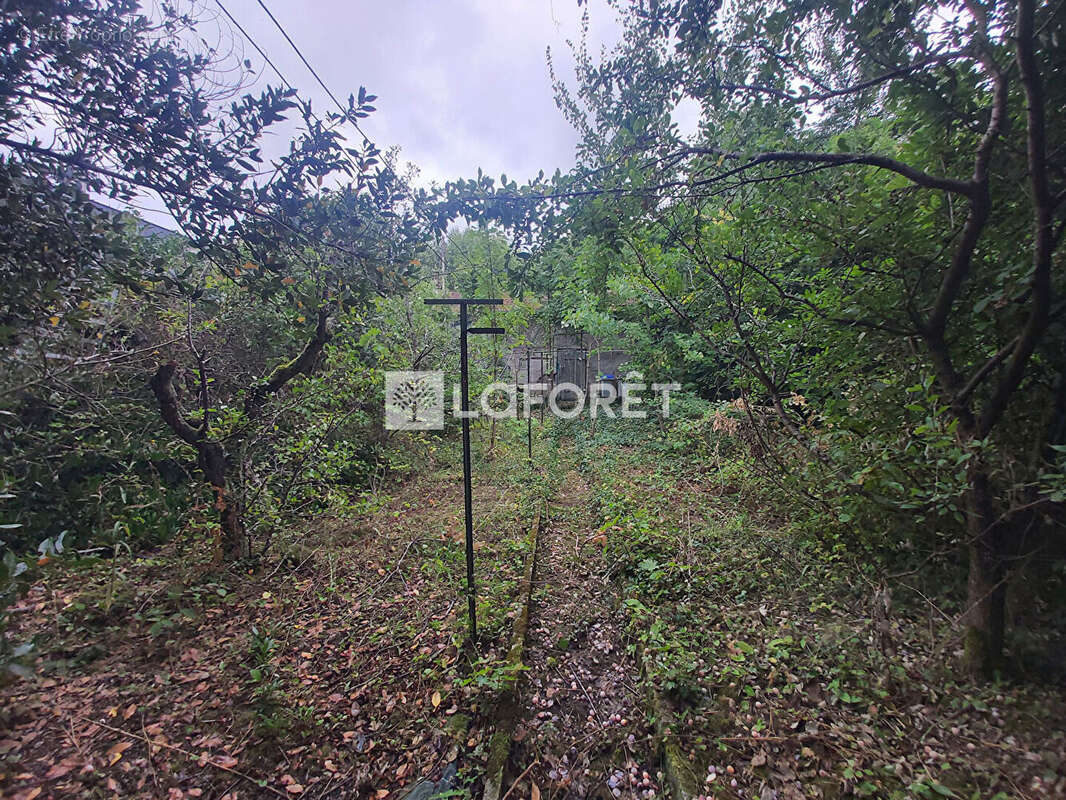 Terrain à LE RAINCY