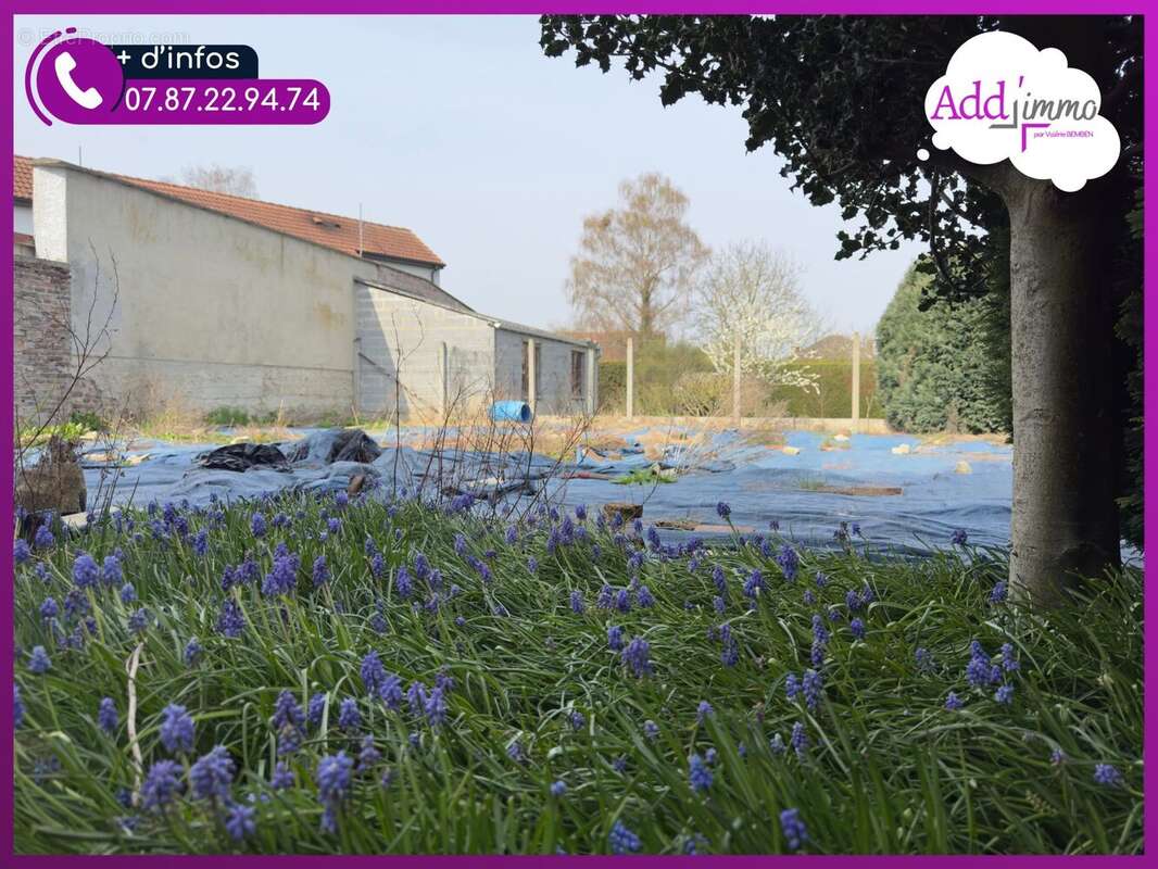 Le jardin  - Maison à LALLAING