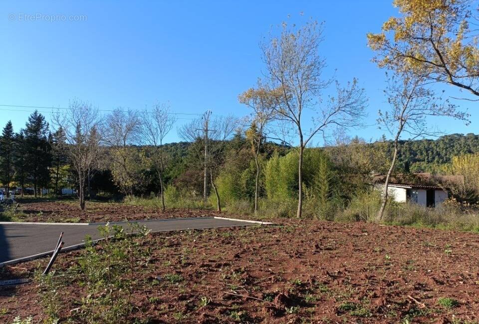 Terrain à LE LUC