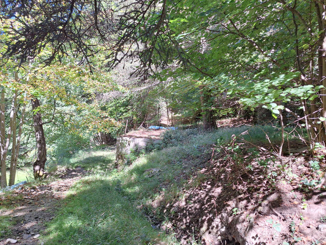 Terrain à ESCOULOUBRE