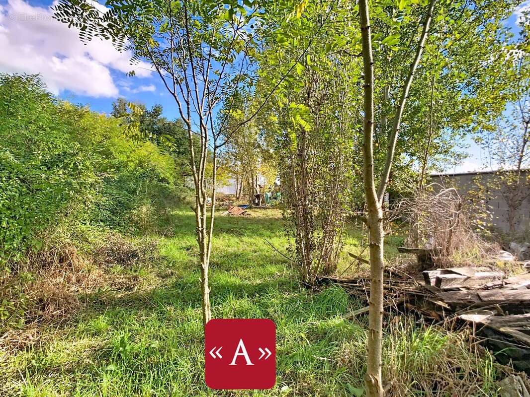 Commerce à LA MAGDELAINE-SUR-TARN