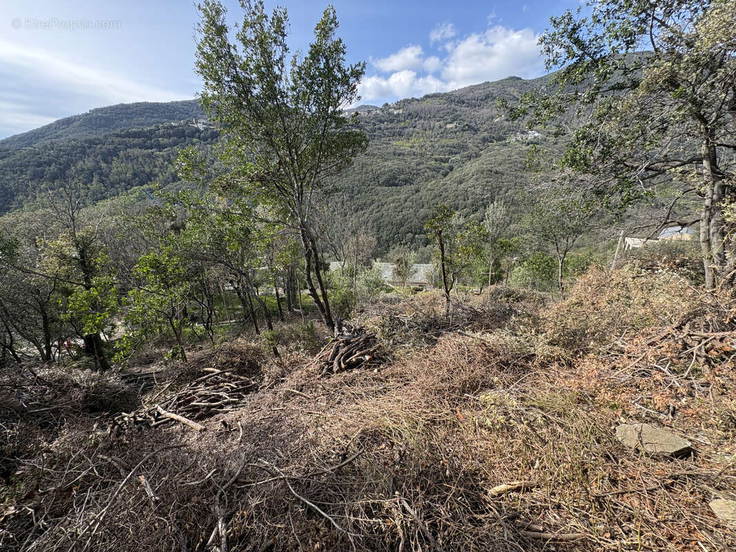 Terrain à SANTA-MARIA-DI-LOTA