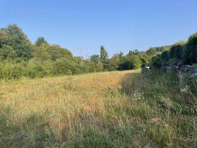 Terrain à MONTROND