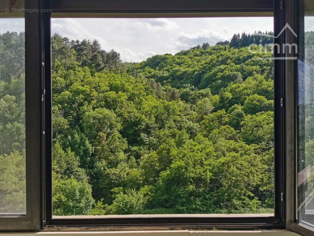 Mas sur 4hec avec rivière, jardin, piscine et dépendance à rénover - photo 10