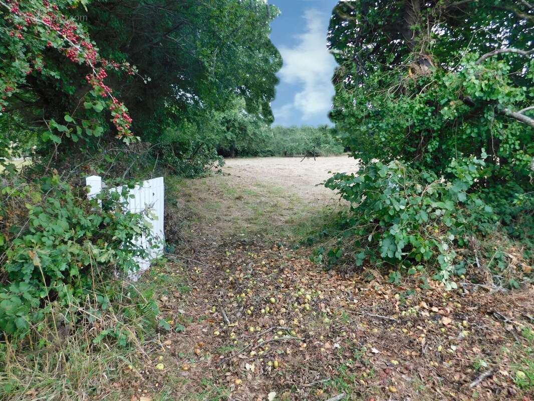 CLEDEN-POHER, en campagne - photo 2