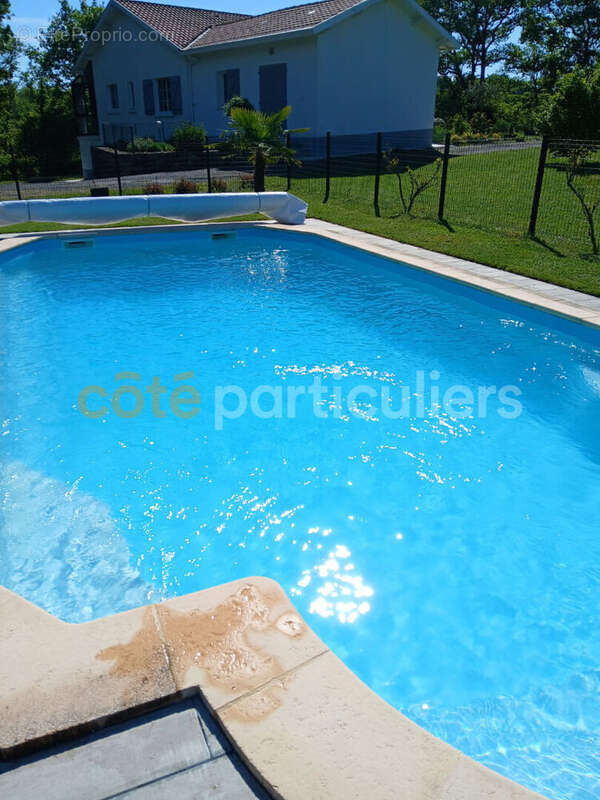 Maison à MORTAGNE-SUR-SEVRE