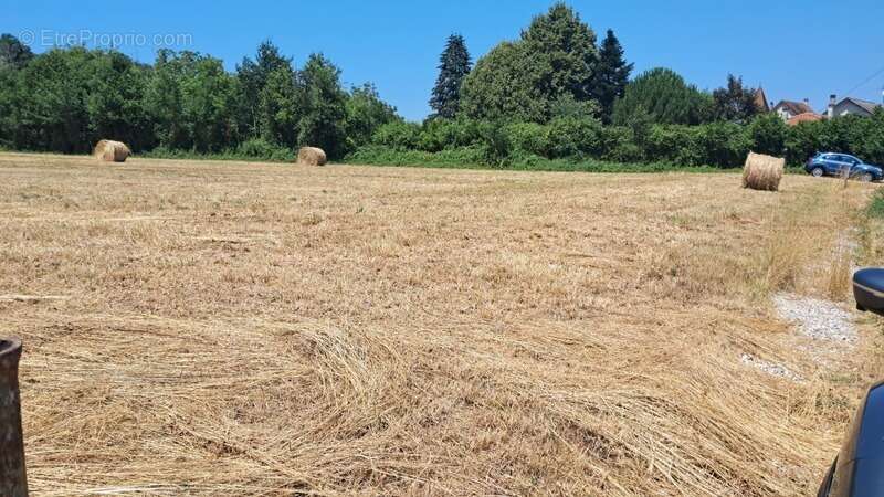 Terrain à vendre de 1 800,00 m² LANZAC (46) - photo 8