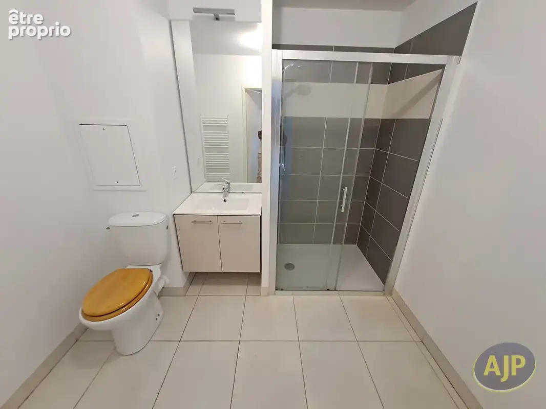 CHALLANS - Appartement T2 - photo 6