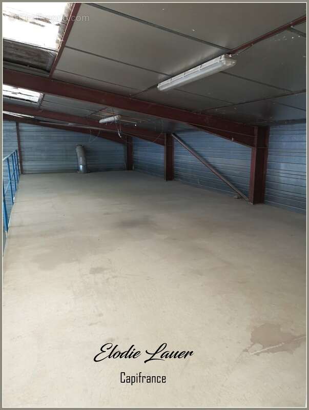 Commerce à MAUBOURGUET