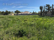 Terrain à L&#039;ISLE-SUR-LA-SORGUE