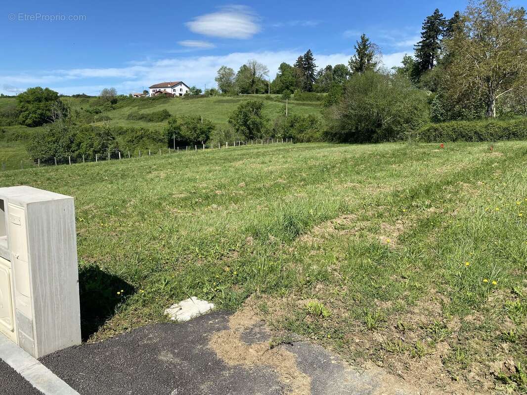 Photo 2 - Terrain à ARBOUET-SUSSAUTE
