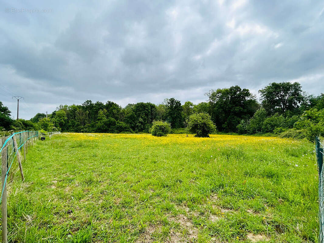 Maison à LA FERTE-SOUS-JOUARRE