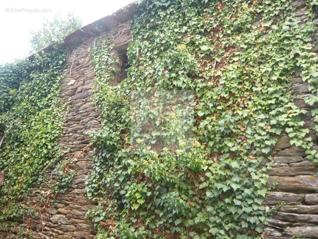 Maison à LE COLLET-DE-DEZE