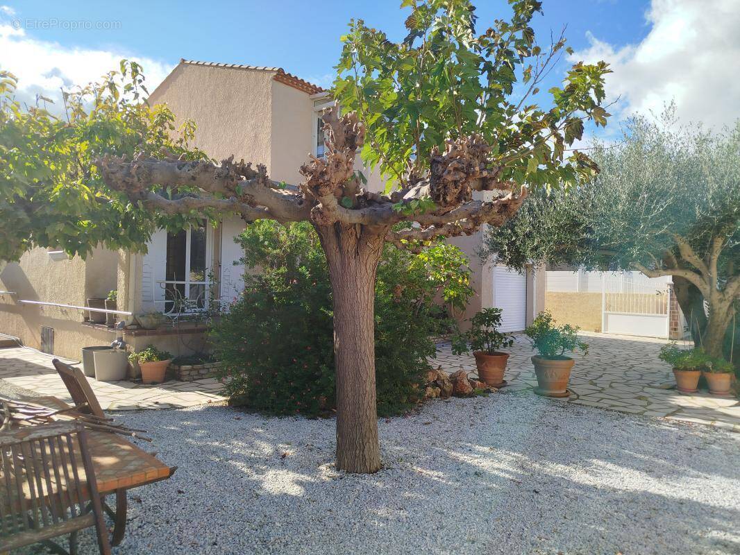 Maison à MEZE