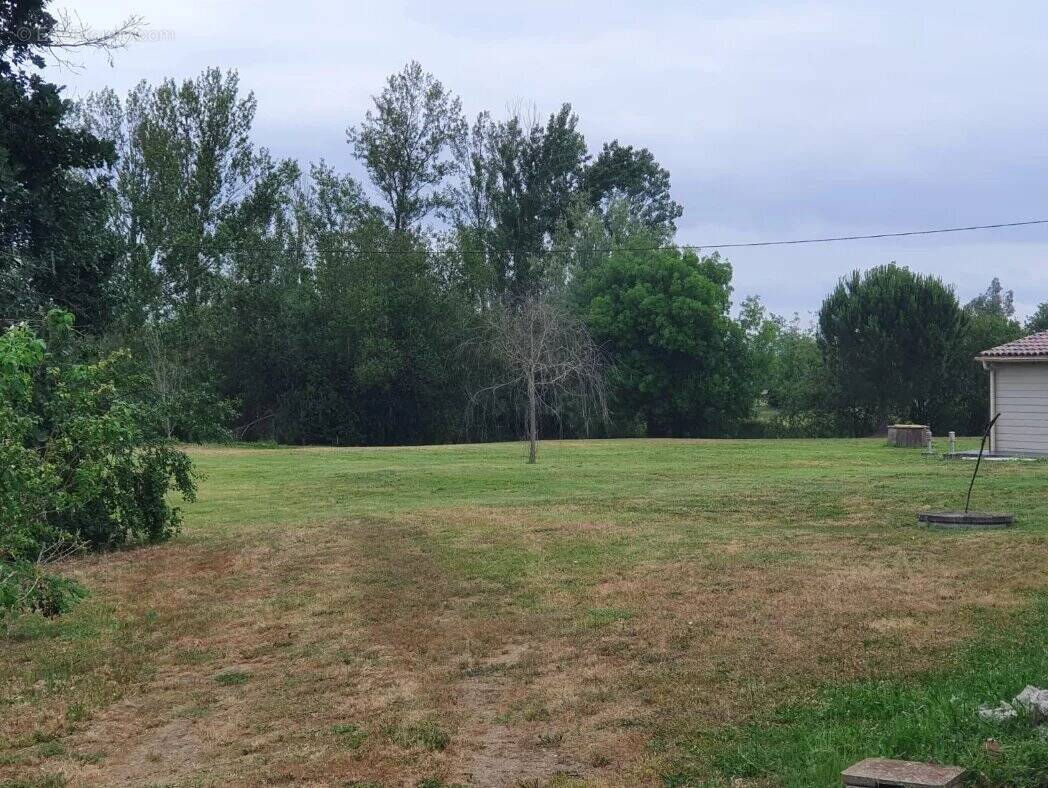 Terrain à LAVAUR