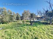 Maison à MORIERES-LES-AVIGNON