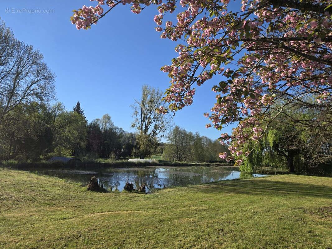 Maison à VILLAMBLARD