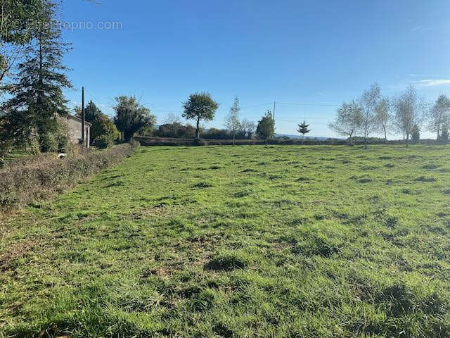 Terrain à SAINT-BONNET-DE-CRAY