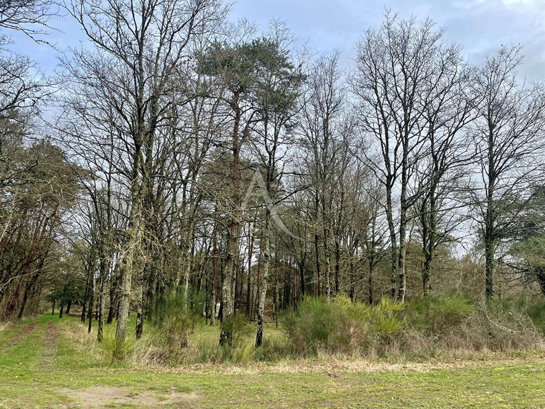 Terrain à VILLEFRANCHE-SUR-CHER